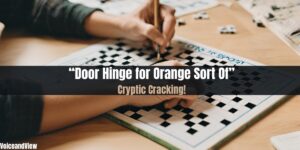 door hinge for orange sort of