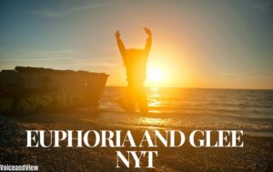 euphoria and glee nyt