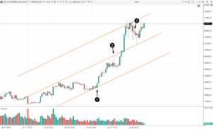 Bitcoin's Evolution in 2024: Key Trends and Analysis