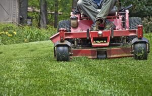 Professional Lawn Care in Wando, SC: Transform Your Outdoor Space